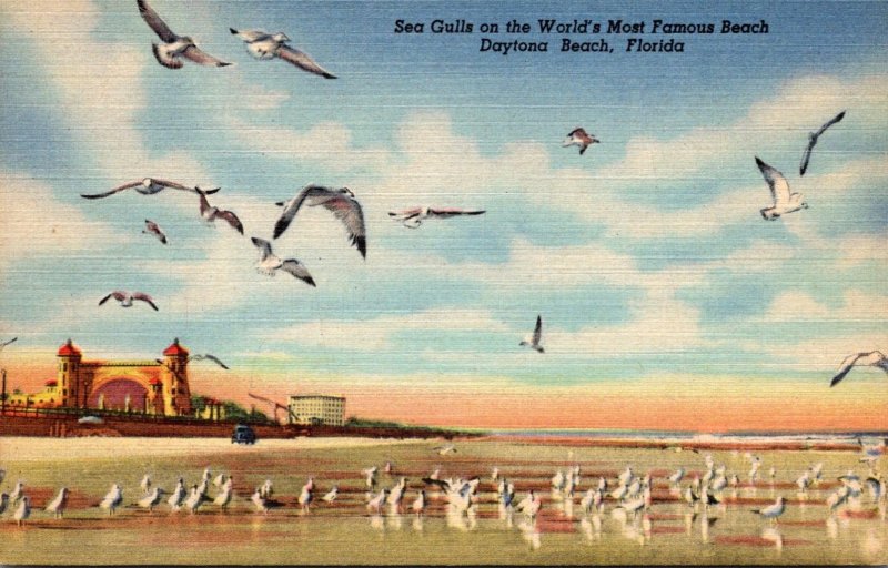 Florida Daytona Beach Sea Gulls On The World's Most Famous Beach Curteich
