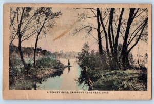 1926 Chippewa Park Ohio OH Vintage Postcard A Beauty Spot Lake Park Scene Posted
