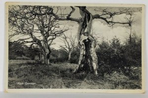 RPPC Hook Common Hart District North East Hampshire Near Basingstoke Postcard S2