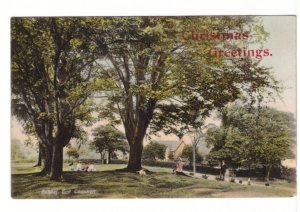 Gospel End Common S Staffordshire, 1908 Christmas Postcard, Davisville Ont. DPO