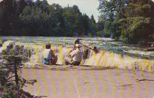 Michigan Lower Tahquamenon Falls 1962