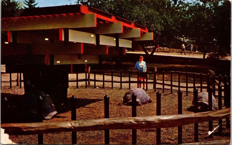 Strangest Farm Benson Wild Animal Hudson Centre New Hampshire NH Postcard UNP