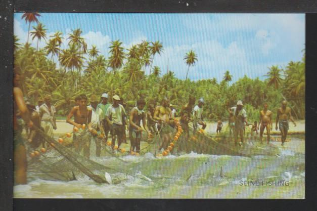 Seine Fishing,East Coast Trinidad Postcard 