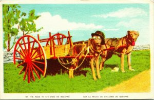 Vtg Postcard 1910s Quebec Canada Sainte Anne De Beaupre Dogs in Hat Pulling Cart