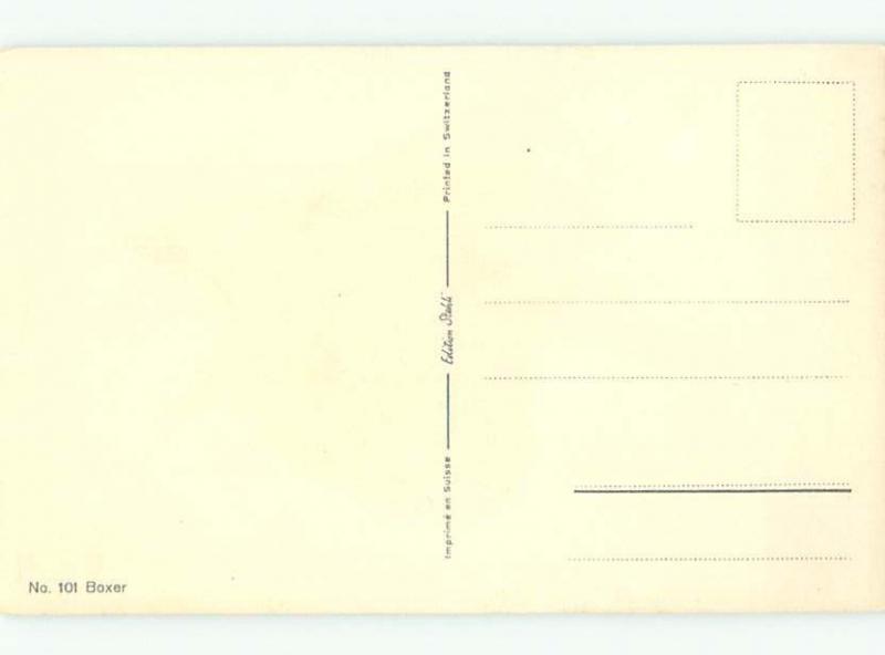 Pre-Linen signed GREAT VIEW OF BOXER DOG AC5218