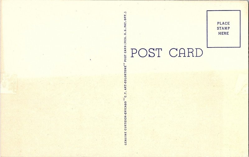 Sunkissed Hala Tree Hawaiian Islands Linen Postcard c1945