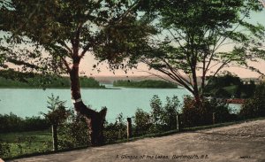 Vintage Postcard A Glimpse of the Lakes in Dartmouth Nova Scotia Canada