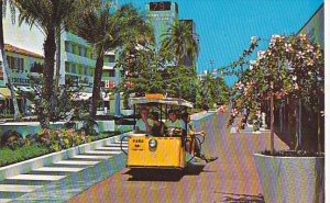 Sightseeing Tram Lincoln Mall Miami Beach Florida