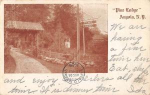 Angola New York Pine Lodge Scenic Entrance Antique Postcard K91662