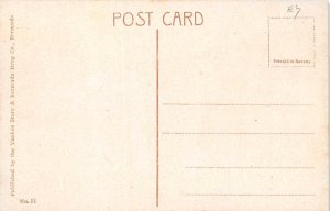 Bamboo Palmette Palm and Oleanders Bermuda Postcard