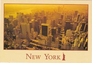 New York City Birds Eye View