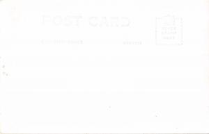 BANANAS GROWING IN FLORIDA REAL PHOTO POSTCARD c1940s