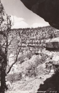 Arizona Walnut Canyon Real Photo