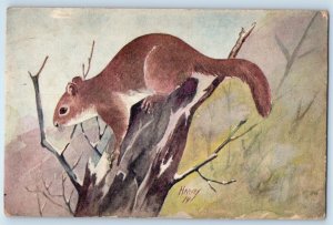 c1910's Red Squirrel Signed Artist Chas K. Reed Worcester Massachusetts Postcard