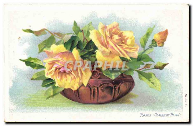 Postcard Old Glory Roses Fantasy Flowers Dijon