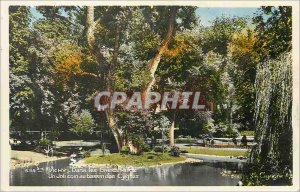 Postcard Moderne Vichy In the Great Parks A Pretty corner Swan Basin