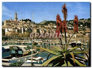 Postcard Modern colors and light of the French Riviera France miracle of natu...