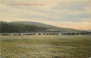 C-1910 Feeding Cattle Klamath County Oregon Drug Store # 12821 Postcard 6734