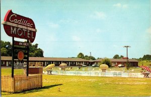 Cadillac Motel, Waldorf MD Vintage Postcard N50