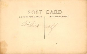 Black and White Photo Cow Postcard