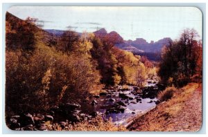 1957 Fall Colors Along Oak Creek Dirt Pathways Flagstaff Arizona AZ Postcard
