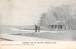 Middlebury Connecticut Quassapaug Lake and Sea Wall Vintage Postcard AA26625