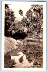 Palm Springs California CA Postcard RPPC Photo Palm Canyon View 1928 Vintage