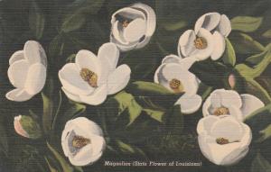 Magnolias State Flower of Louisiana - Linen