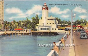 Fishing on County Causeway - Miami, Florida FL  