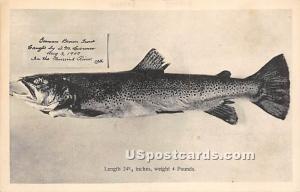 Fish Misc. Sullivan County NY Unused