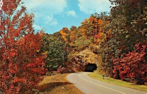 ASHEVILLE & MT MITCHELL NC~TANBARK TUNNEL-BLUE RIDGE PARKWAY POSTCARD