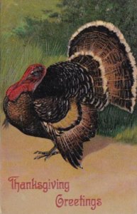 Thanksgiving With Turkey 1908