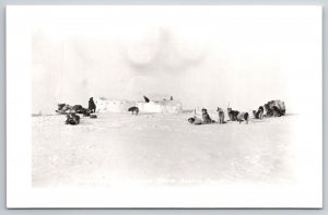 RPPC Trapping and Hunting Camp Arctic Coast Alaska AK UNP Postcard F17