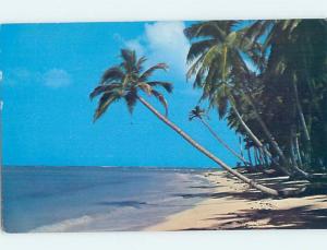 Pre-1980 BEACH SCENE Pigeon Point Trinidad And Tobago F5760@