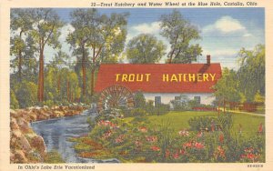 Trout Hatchery, Water Wheel, Blue Hole Castalia, Ohio OH