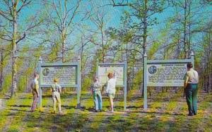 Virginia Wilderness Campaign Fredericksburg & Spotsylvania National Milit...