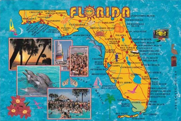 Florida Map & Multi Views