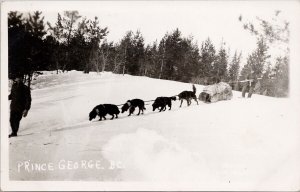 Prince George BC Dog Team Sled Dogs British Columbia Unused RPPC Postcard H53