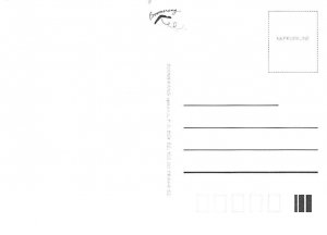 Christmas Continental Size: Approx 4 X 6 inches (15 cm X 10.5 cm) Postcard