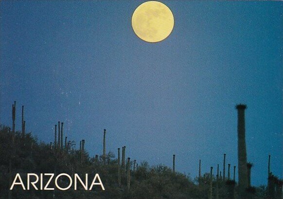 Arizona Tempe Moonlit Desert