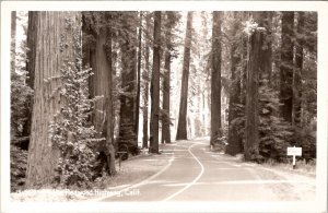 California View On The Redwood Highway Sawyers RPPC Postcard Z27