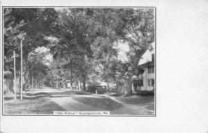 Norridgewock Maine~Old Willow~Homes in Shady Neighborhood~1905 UDB