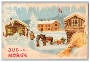 1915 Norway Horse Sleigh Pine Tree Covered Winter Snow Posted Antique Postcard