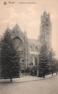 Cathedrale Saint-Sauveur,Bruges,Belgium BIN