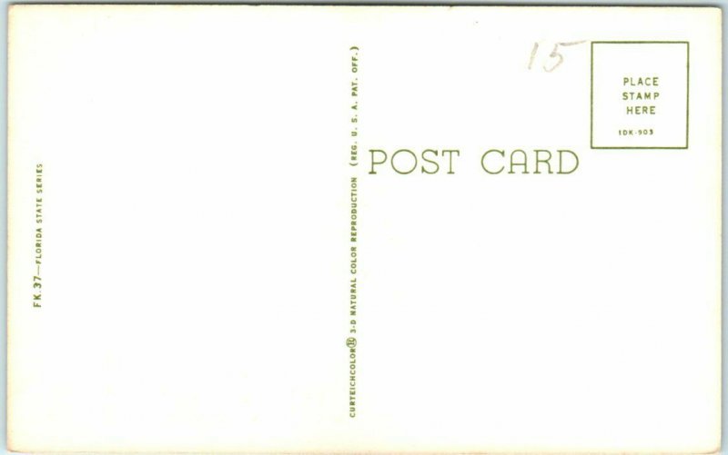 Postcard - The Legend of the Bleeding Heart Dove