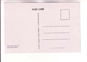 Suman Burj Agra Fort, India