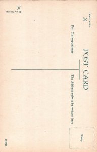 L253 Malaysia Penang Waterfall postcard