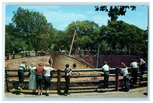 c1950's Monkey Island Lincoln Park Zoo Oklahoma City Oklahoma OK Postcard
