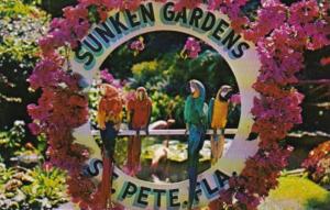 Florida St Petersburg Macaws At Sunken Gardens