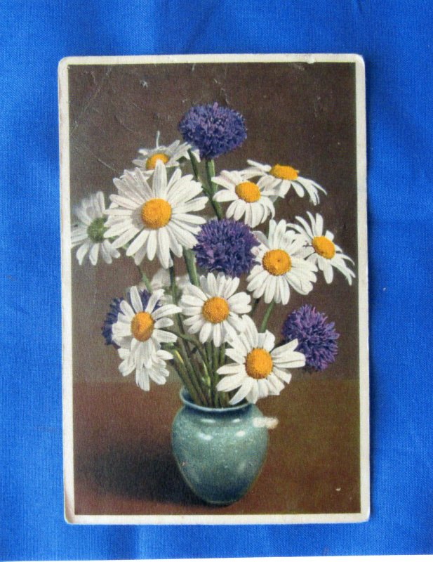 Daisies In Vase Old Postcard Floral Flowers